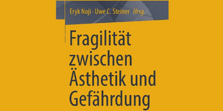 Buchcover mit gelb-orangefarbenem Hintergrund. Der Titel lautet „Fragilität zwischen Ästhetik und Gefährdung“. Als Herausgeber sind Eryk Noji und Uwe C. Steiner genannt. Unten steht das Verlagslogo „Springer VS“.
