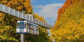 H-Bahn und Bäume mit bunten Blättern im Herbst